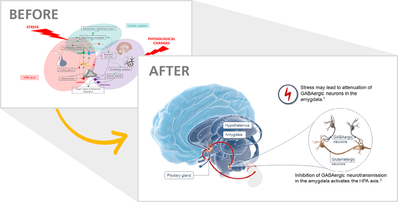 before_after_example